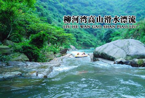 翻转吧，苹果虫