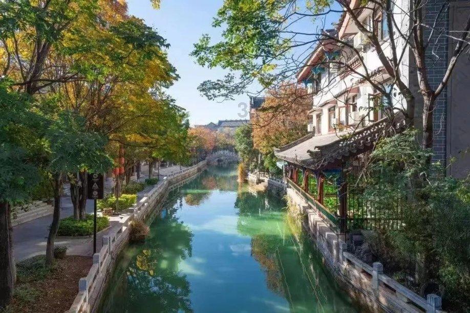 靠《繁花》爆火的辛芷蕾,经历了什么?在《庆余年》里还默默无闻